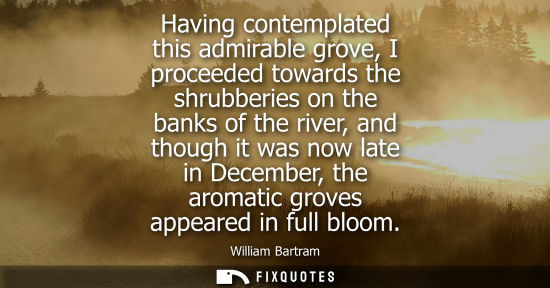 Small: Having contemplated this admirable grove, I proceeded towards the shrubberies on the banks of the river