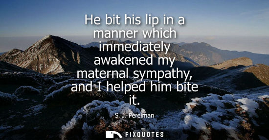Small: He bit his lip in a manner which immediately awakened my maternal sympathy, and I helped him bite it