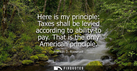 Small: Here is my principle: Taxes shall be levied according to ability to pay. That is the only American principle