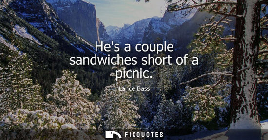 Small: Hes a couple sandwiches short of a picnic