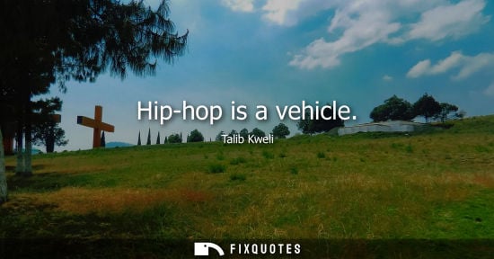 Small: Hip-hop is a vehicle