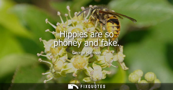Small: Hippies are so phoney and fake