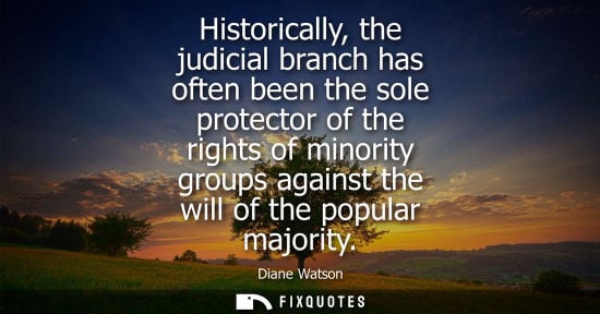 Small: Historically, the judicial branch has often been the sole protector of the rights of minority groups ag