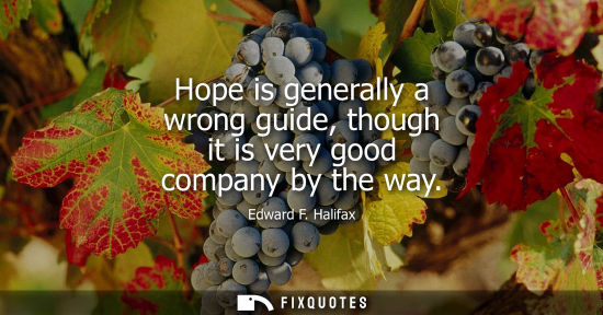Small: Hope is generally a wrong guide, though it is very good company by the way