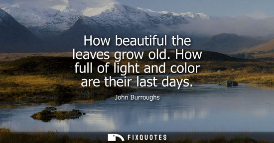 Small: How beautiful the leaves grow old. How full of light and color are their last days