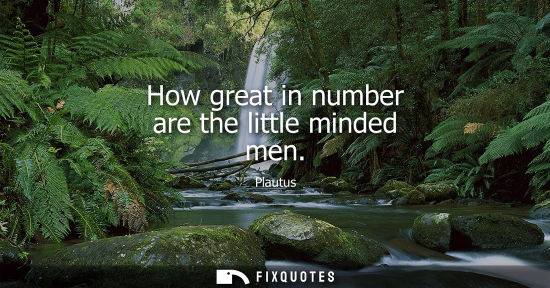 Small: How great in number are the little minded men