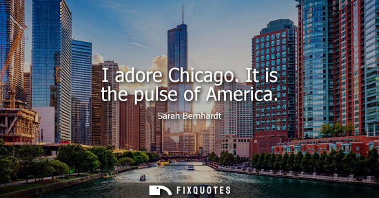 Small: I adore Chicago. It is the pulse of America - Sarah Bernhardt