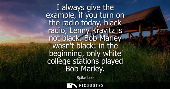 Small: I always give the example, if you turn on the radio today, black radio, Lenny Kravitz is not black.