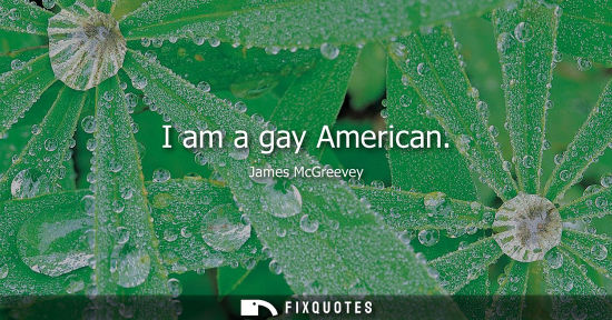 Small: I am a gay American