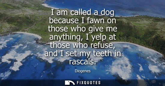 Small: I am called a dog because I fawn on those who give me anything, I yelp at those who refuse, and I set my teeth