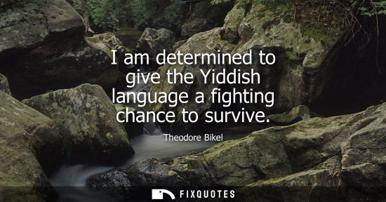 Small: I am determined to give the Yiddish language a fighting chance to survive