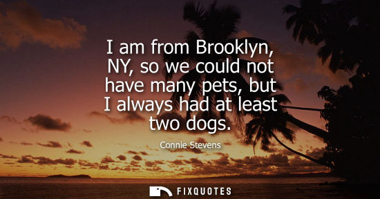 Small: I am from Brooklyn, NY, so we could not have many pets, but I always had at least two dogs