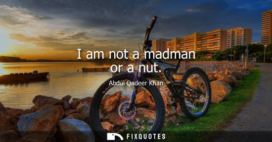 Small: I am not a madman or a nut