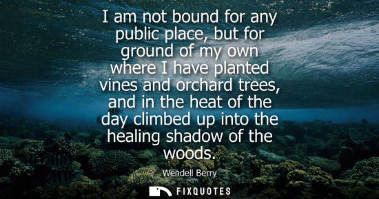 Small: I am not bound for any public place, but for ground of my own where I have planted vines and orchard tr