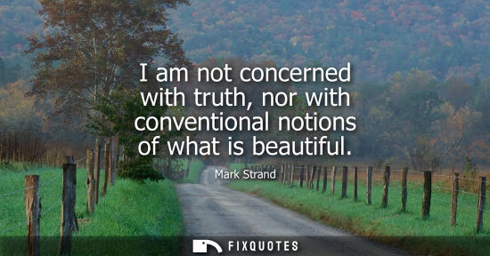 Small: I am not concerned with truth, nor with conventional notions of what is beautiful