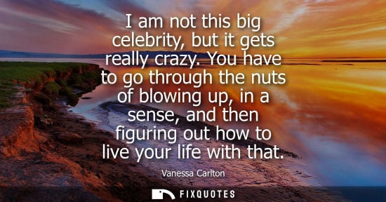 Small: I am not this big celebrity, but it gets really crazy. You have to go through the nuts of blowing up, i
