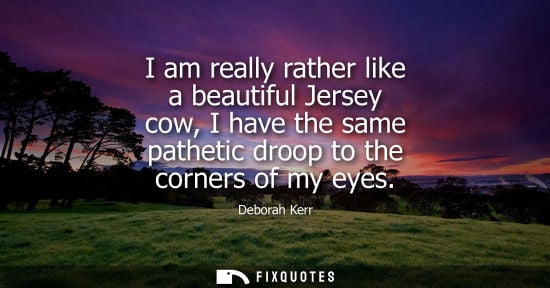 Small: I am really rather like a beautiful Jersey cow, I have the same pathetic droop to the corners of my eye