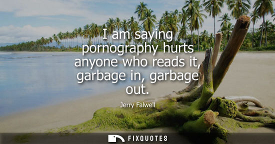 Small: I am saying pornography hurts anyone who reads it, garbage in, garbage out