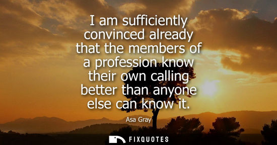 Small: I am sufficiently convinced already that the members of a profession know their own calling better than