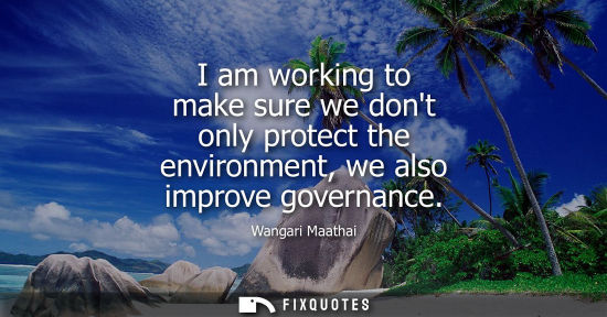 Small: I am working to make sure we dont only protect the environment, we also improve governance