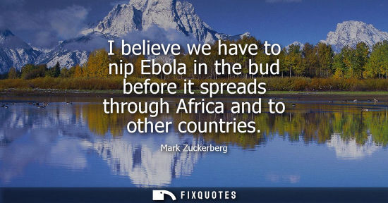 Small: I believe we have to nip Ebola in the bud before it spreads through Africa and to other countries