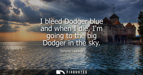 Small: I bleed Dodger blue and when I die, Im going to the big Dodger in the sky