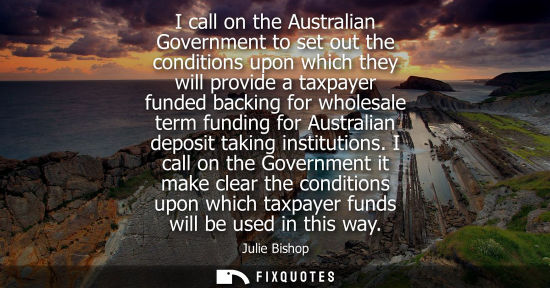 Small: I call on the Australian Government to set out the conditions upon which they will provide a taxpayer f