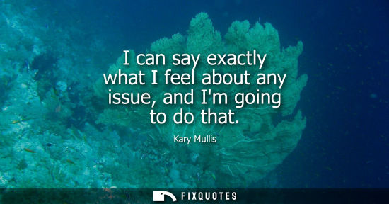 Small: I can say exactly what I feel about any issue, and Im going to do that