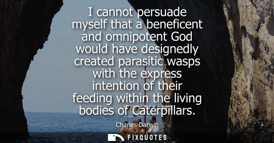 Small: I cannot persuade myself that a beneficent and omnipotent God would have designedly created parasitic wasps wi