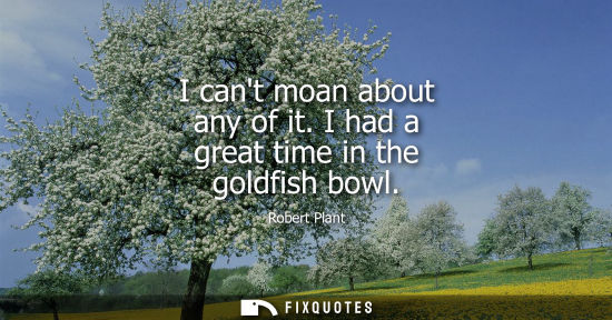 Small: I cant moan about any of it. I had a great time in the goldfish bowl