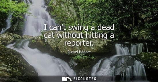 Small: I cant swing a dead cat without hitting a reporter