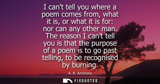 Small: I cant tell you where a poem comes from, what it is, or what it is for: nor can any other man.