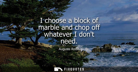Small: I choose a block of marble and chop off whatever I dont need