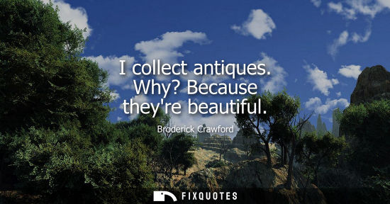 Small: I collect antiques. Why? Because theyre beautiful