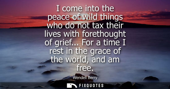 Small: I come into the peace of wild things who do not tax their lives with forethought of grief... For a time