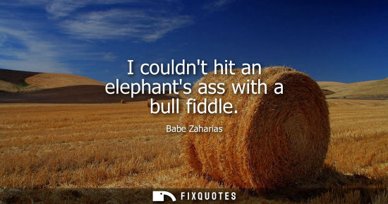 Small: I couldnt hit an elephants ass with a bull fiddle
