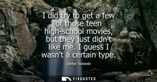 Small: I did try to get a few of those teen high-school movies, but they just didnt like me. I guess I wasnt a