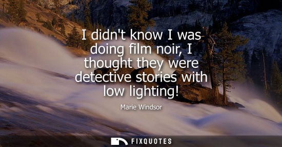 Small: I didnt know I was doing film noir, I thought they were detective stories with low lighting!