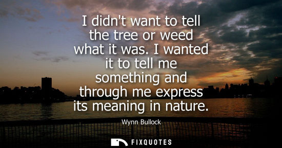 Small: I didnt want to tell the tree or weed what it was. I wanted it to tell me something and through me expr
