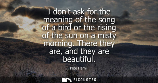 Small: I dont ask for the meaning of the song of a bird or the rising of the sun on a misty morning. There they are, 