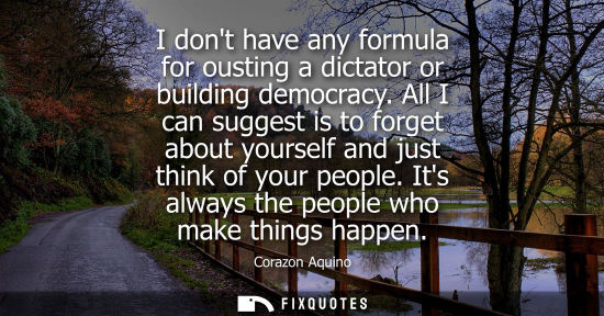 Small: I dont have any formula for ousting a dictator or building democracy. All I can suggest is to forget about you