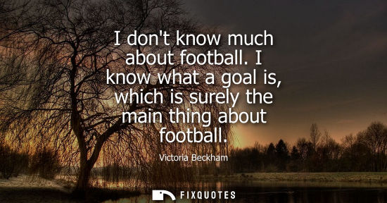 Small: I dont know much about football. I know what a goal is, which is surely the main thing about football