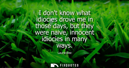 Small: I dont know what idiocies drove me in those days, but they were naive, innocent idiocies in many ways