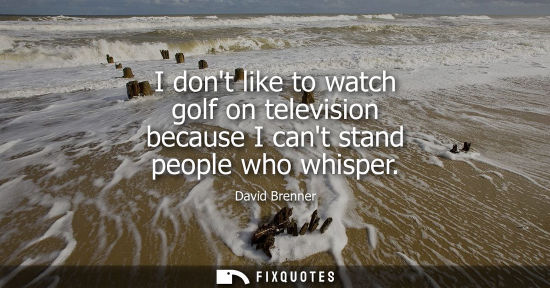 Small: I dont like to watch golf on television because I cant stand people who whisper