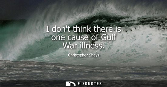 Small: I dont think there is one cause of Gulf War illness