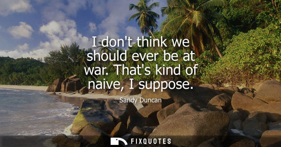 Small: I dont think we should ever be at war. Thats kind of naive, I suppose