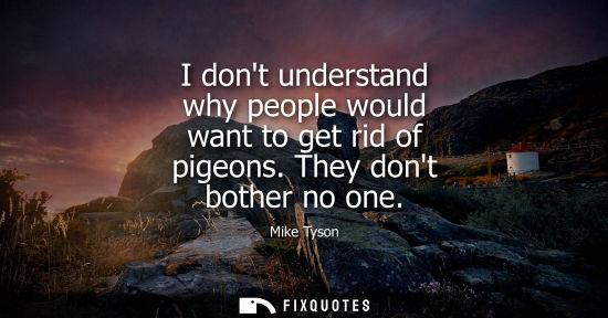 Small: I dont understand why people would want to get rid of pigeons. They dont bother no one