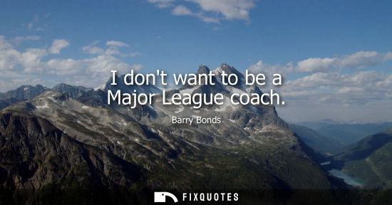 Small: I dont want to be a Major League coach