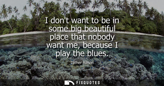 Small: I dont want to be in some big beautiful place that nobody want me, because I play the blues
