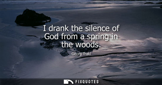 Small: I drank the silence of God from a spring in the woods